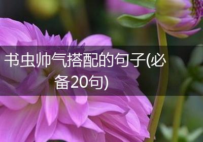 书虫帅气搭配的句子(必备20句)