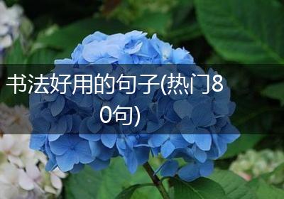 书法好用的句子(热门80句)