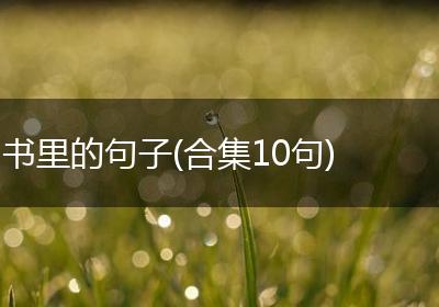 书里的句子(合集10句)