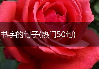书字的句子(热门50句)