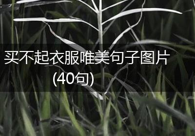 买不起衣服唯美句子图片(40句)