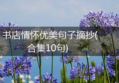 书店情怀优美句子摘抄(合集10句)