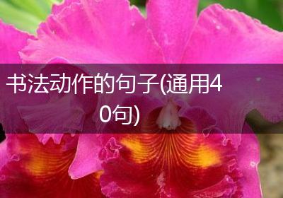 书法动作的句子(通用40句)