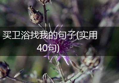 买卫浴找我的句子(实用40句)