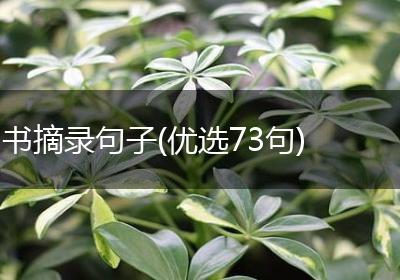 书摘录句子(优选73句)