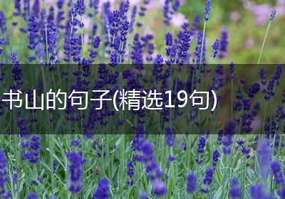 书山的句子(精选19句)