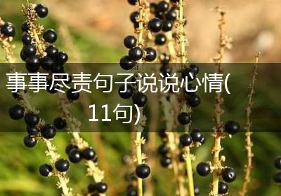 事事尽责句子说说心情(11句)