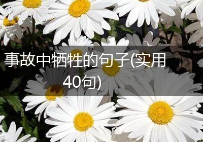 事故中牺牲的句子(实用40句)