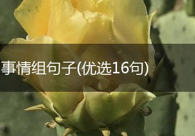事情组句子(优选16句)
