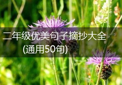 二年级优美句子摘抄大全(通用50句)