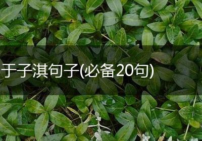 于子淇句子(必备20句)