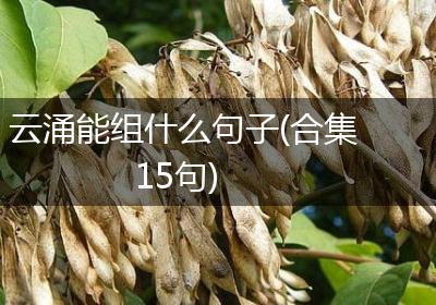 云涌能组什么句子(合集15句)