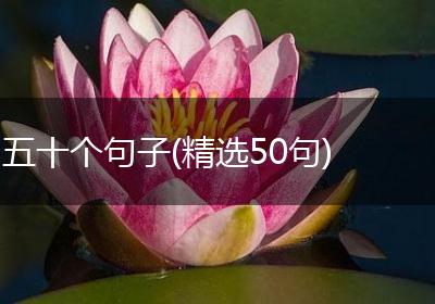 五十个句子(精选50句)