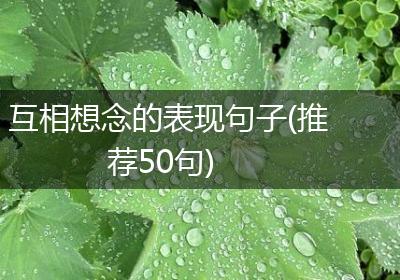 互相想念的表现句子(推荐50句)