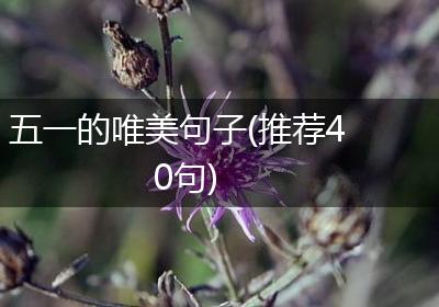 五一的唯美句子(推荐40句)
