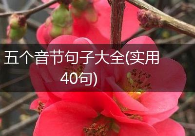 五个音节句子大全(实用40句)