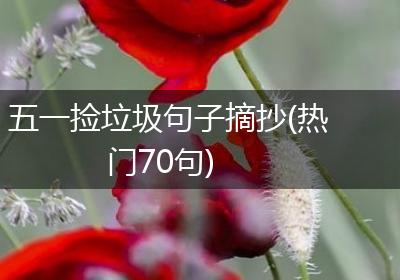 五一捡垃圾句子摘抄(热门70句)