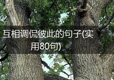 互相调侃彼此的句子(实用80句)