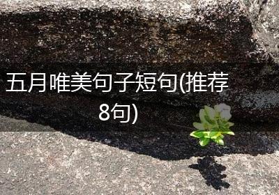 五月唯美句子短句(推荐8句)