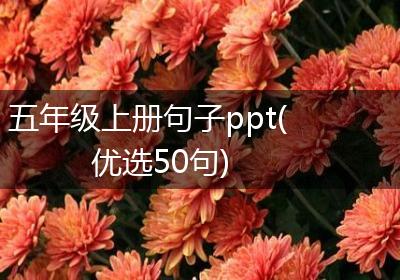 五年级上册句子ppt(优选50句)