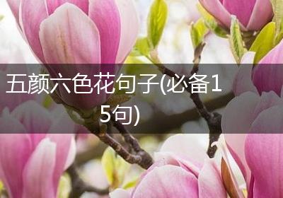 五颜六色花句子(必备15句)