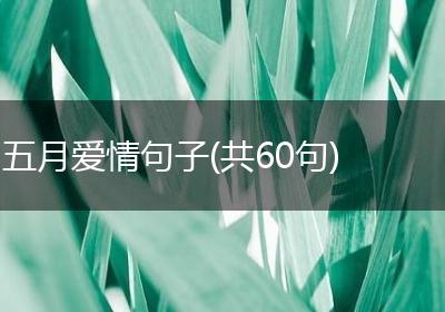 五月爱情句子(共60句)