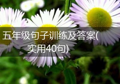 五年级句子训练及答案(实用40句)