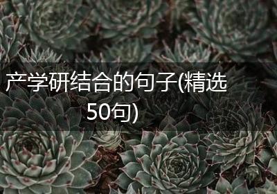 产学研结合的句子(精选50句)