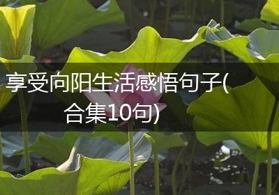 享受向阳生活感悟句子(合集10句)