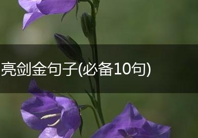 亮剑金句子(必备10句)
