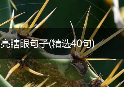 亮瞎眼句子(精选40句)