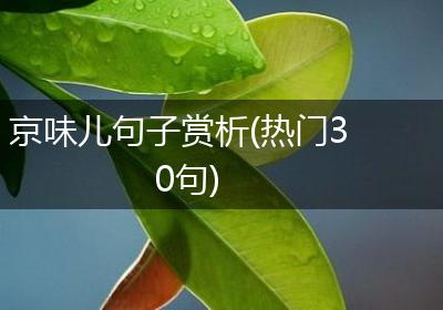 京味儿句子赏析(热门30句)