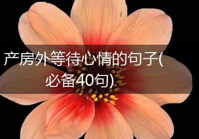 产房外等待心情的句子(必备40句)