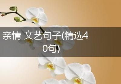 亲情 文艺句子(精选40句)