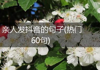 亲人发抖音的句子(热门60句)