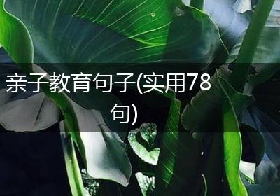 亲子教育句子(实用78句)