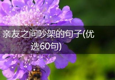 亲友之间吵架的句子(优选60句)