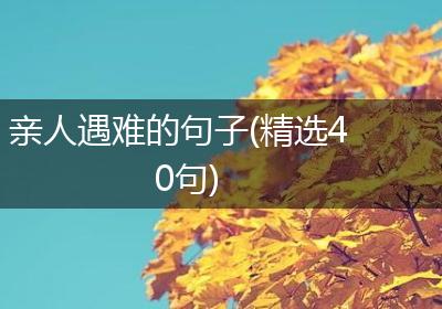 亲人遇难的句子(精选40句)