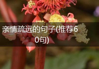 亲情疏远的句子(推荐60句)
