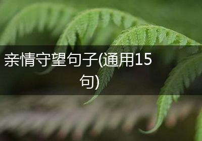 亲情守望句子(通用15句)