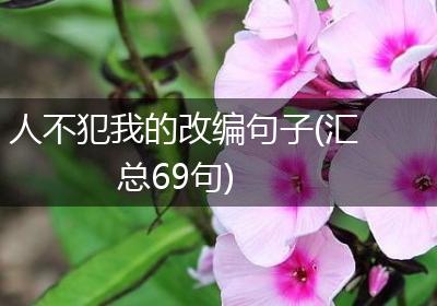 人不犯我的改编句子(汇总69句)