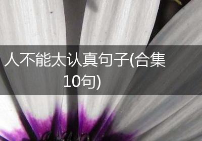 人不能太认真句子(合集10句)