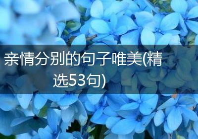 亲情分别的句子唯美(精选53句)
