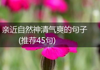 亲近自然神清气爽的句子(推荐45句)