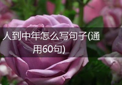 人到中年怎么写句子(通用60句)