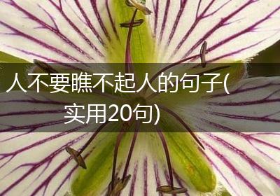 人不要瞧不起人的句子(实用20句)