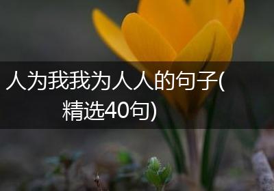 人为我我为人人的句子(精选40句)