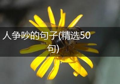人争吵的句子(精选50句)