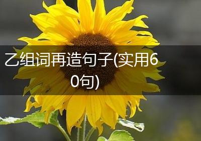 乙组词再造句子(实用60句)