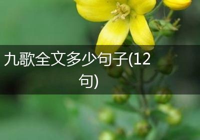 九歌全文多少句子(12句)